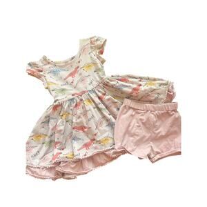 Girl August 5 Dress Tunic Bloomers Dinosaur Novelty Whimsical STEM READ
